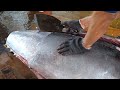 Sharp tuna knife！Giant Bluefin Tuna Cutting Skills - Bluefin Tuna Season in Taiwan 令人驚嘆! 巨大黑鮪魚切割技能