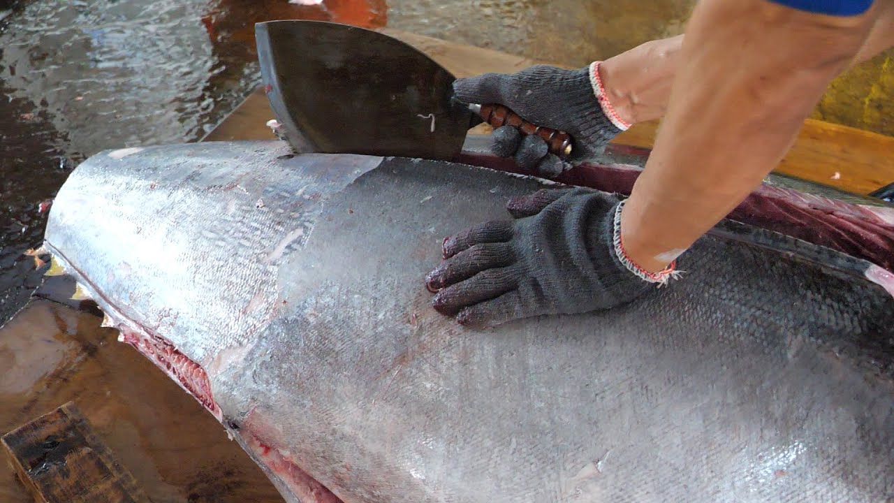 Sharp tuna knife！Giant Bluefin Tuna Cutting Skills Bluefin Tuna
