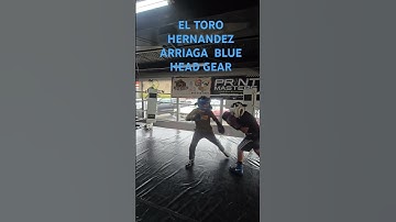 Thumbnail of el toro