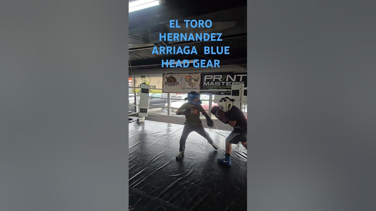 el toro el toro