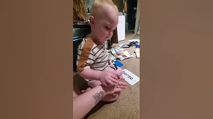 Elijah discovers a June bug