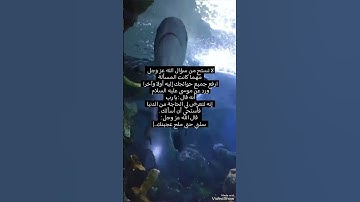 كيف يكون دعاء الله عز وجل ؟ #الدعاء #اكسبلور #تلاوة_خاشعة #المصحف