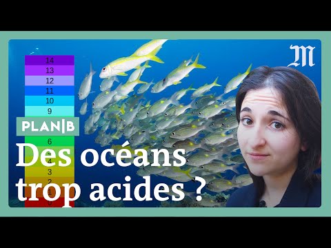 Nos océans deviennent plus acides et c’est un danger #PlanB