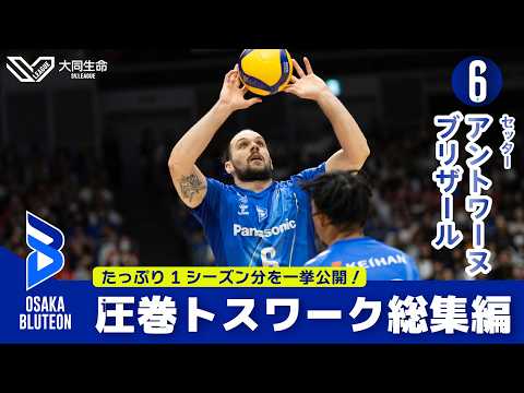 アントワーヌ・ブリザール】2025-26 トスワーク総集編！ - YouTube