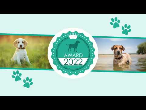 Video: Die 10 besten hundefreundlichen Hotels