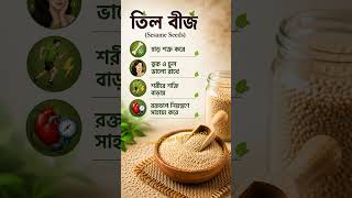 কোন বীজ কিসের জন্য ভালো? | Best Healthy Seeds & Their Benefits