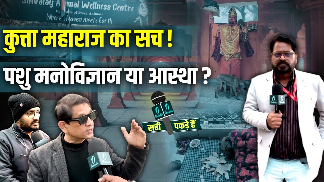 कैसे बने ‘कुत्ता महाराज’? आस्था या वैज्ञानिक सच – पूरी पड़ताल | Hanuman Temple Dog | सही पकड़े हैं