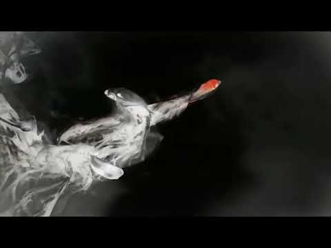 劍俠情緣3·一《大俠無名》劇情MV