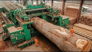 Inside the Largest Wood Sawmill Factory: How Plywood Is Made From Logs to Table (Full Process)