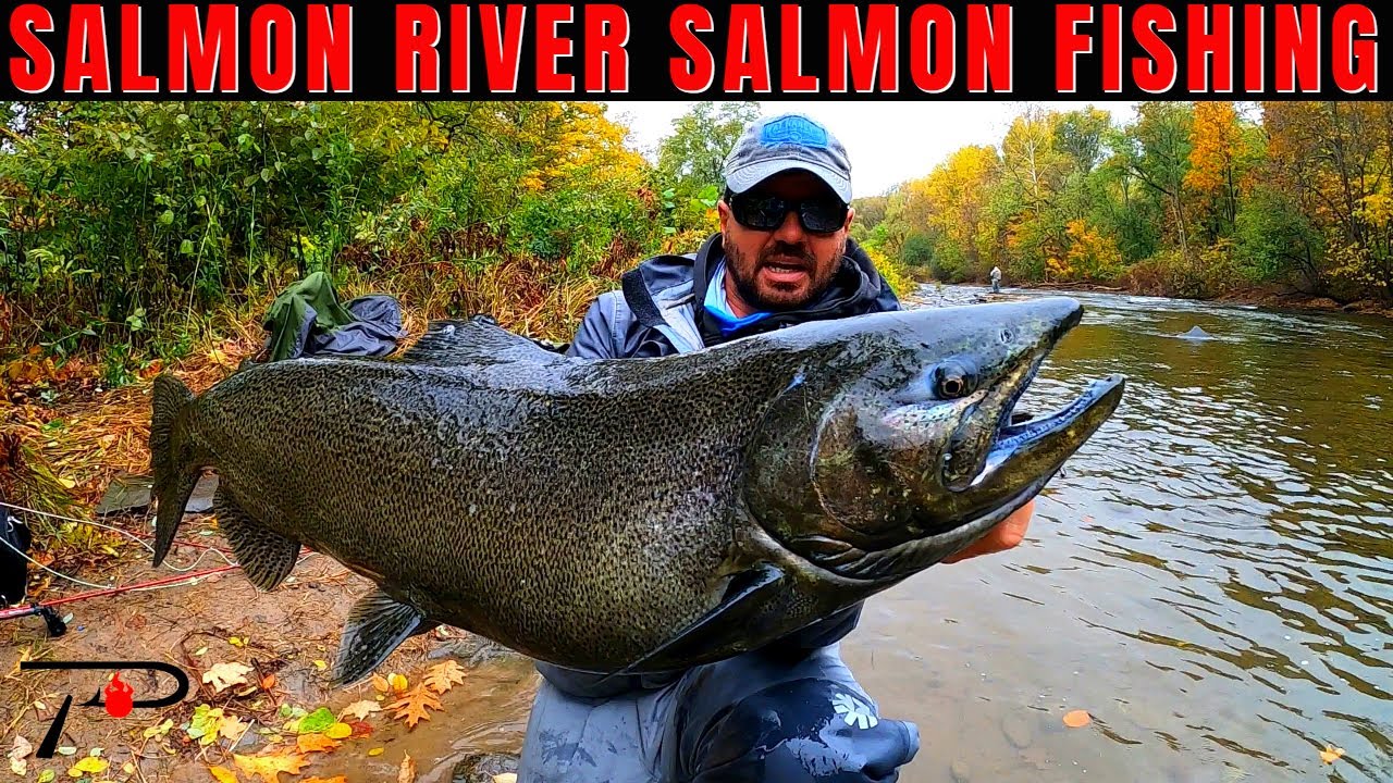 salmon fishing trips ny