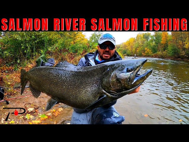 Salmon Fishing New York's World Famous Salmon River 