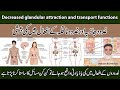  decreased glandular attraction and transport functions  ghadod jazba aur naqila ke afal main kami