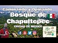 Caminando y Opinando del BOSQUE DE CHAPULTEPEC  🇲🇽  | CDMX