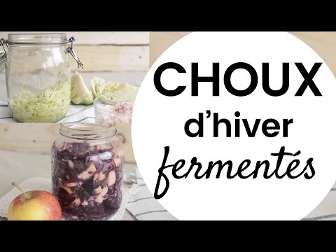 Immunité naturelle: Recette pleine santé de Choux d'Hiver 🍂 fermentés! | Milena & Co