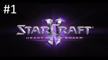 Lab Rat - Part 1 Star Craft 2 Heart Of The Swarm (story walkthrough no commentary)