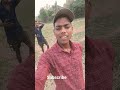 #bhojpuri #song #bhojpurisong #khesari #bhojapurihitsong #love #bhokpurigana #ham #wedding