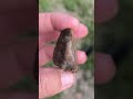 Dzisiejsze znalezisko :) #rockhounding #kamyczki #minerały #stones #rocks #minerals #minerały