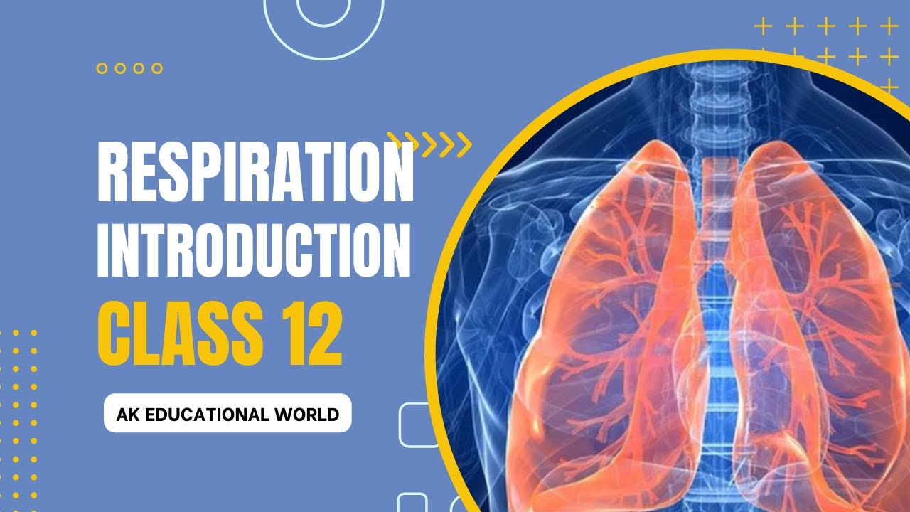 Respiration What Is Respiration What Is Breathing Introduction To