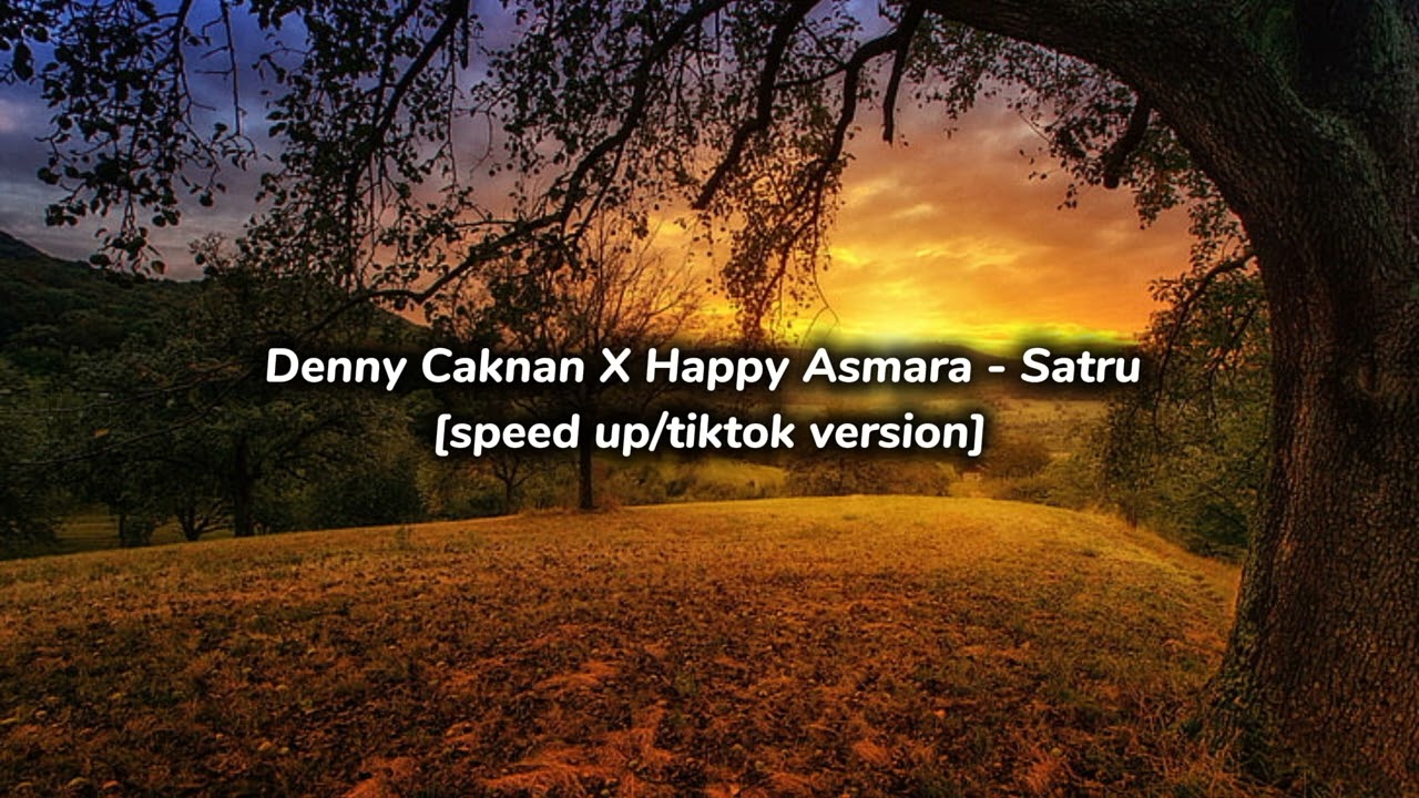 Satru - Denny Caknan X Happy Asmara (speed up/tiktok version)