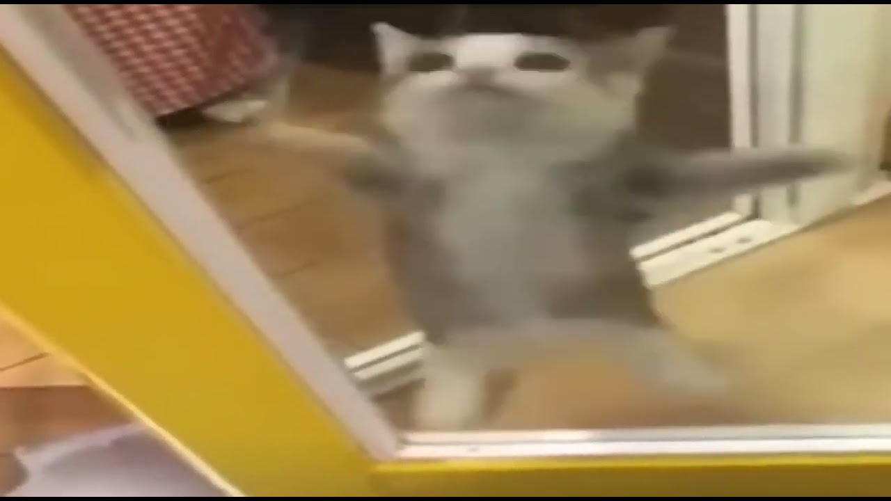 шни шна шнапи оригинал - YouTube