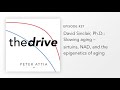 #27 – David Sinclair, Ph.D.: Slowing aging – sirtuins, NAD, and the epigenetics of aging