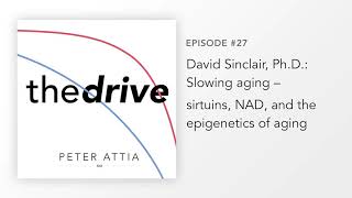 #27 – David Sinclair, Ph.D.: Slowing aging – sirtuins, NAD, and the epigenetics of aging