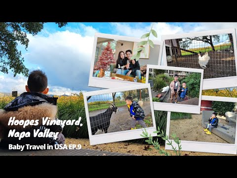 วีดีโอ: กิจกรรมน่าทำในทริปครอบครัวที่ Napa Valley