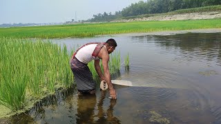 Expert Fisherman Try Catching Fish With His Net