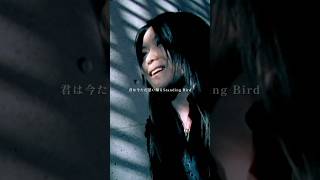 Standing Bird - #lovepsychedelico #delico25th