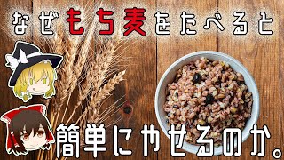 【ゆっくり解説】もち麦に変えるだけで簡単に１０kgのダイエットに成功する3つの理由