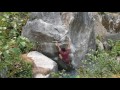 Squamish bouldering shots fired v4