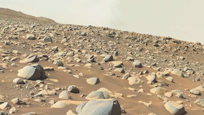 Sariqning osilgan kokraklari