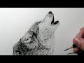 Cmo dibujar un lobo