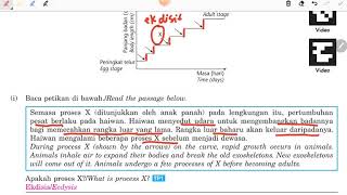 6.1 Sokongan, Pergerakan dan Pertumbuhan Haiwan (Jenis Sokongan pada Haiwan)