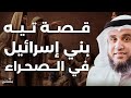 قصة تيه بني إسرائيل في صحراء سيناء لماذا رفضوا قتال الكنعانيين نواف السالم