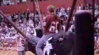 Acme Partyworks - Bungee Bull