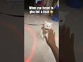 CAT 😻 : #catshorts #catlovers #viralpets #trendingshorts  #cuteanimal #catfunny #ytshorts  #short