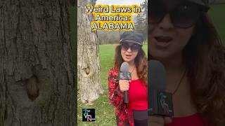 Weird Laws In America: Alabama’s Ice Cream Crime