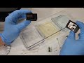 Cleaning Clogged Ink Cartridge Nozzles on HP Officejet 5740 5746 Printer