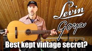 Whats the deal with Goya and Levin guitars?