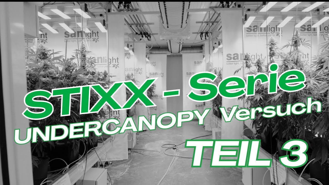 SANlight Lab: STIXX-Serie Undercanopy Versuch / Teil 3