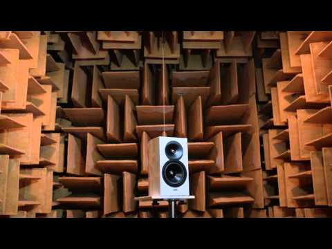 Revel Loudspeakers | Brand Video