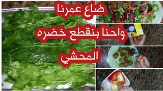 ضاع عمرنا واحنا بنقطع خضره المحشي  افكار وحيل لوقفه المطبخ
