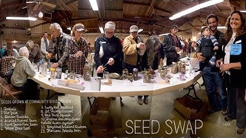 Seeds | The Lexicon of Sustainability | PBS Food