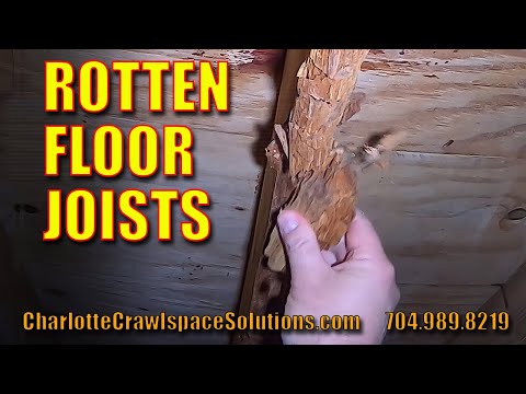 Rotten Floor Joists