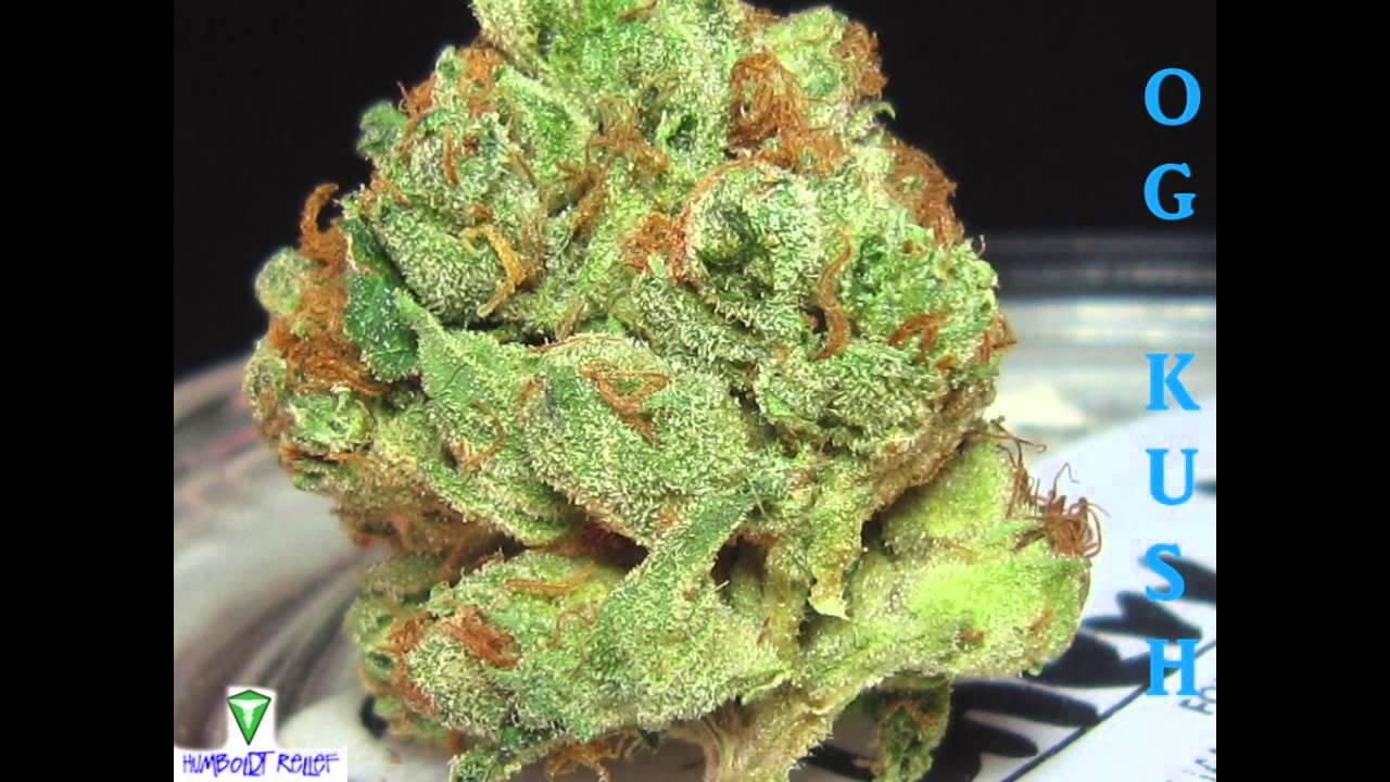 Married to Marijuana: Weed & Hip Hop Documentary *** FULL VERSION ***