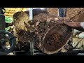 Easy Technique for Splitting Trembesi Wood Using a Band Saw