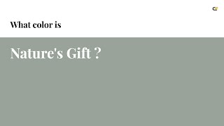 Nature's Gift color #99a399 hex color - Green color - Warm color 99a399