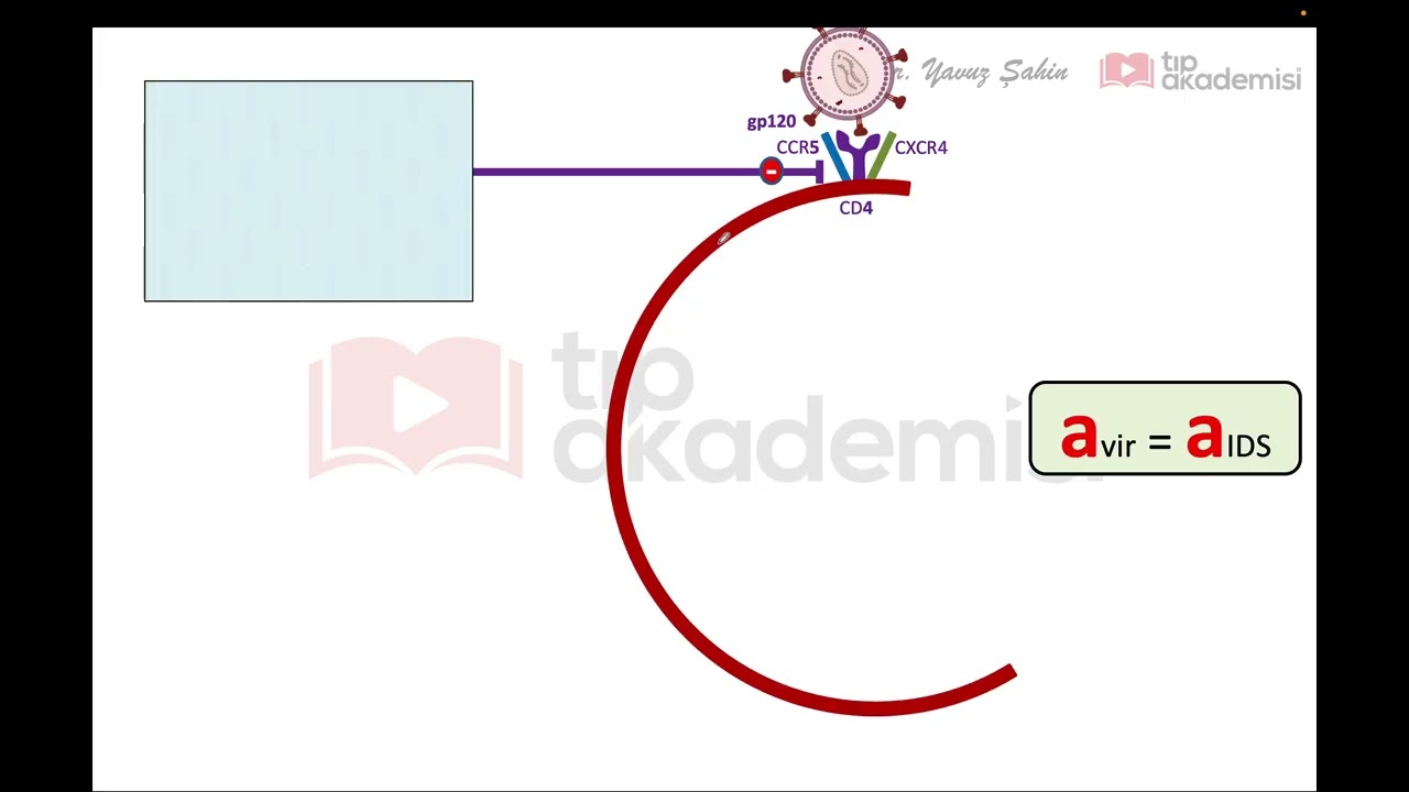 Farmakoloji Anti-HIV İlaçlar