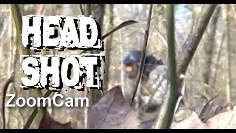 HEADSHOT! 2.23.13 Game 1 Trails of Doom Capture the flag, ZoomCam footage